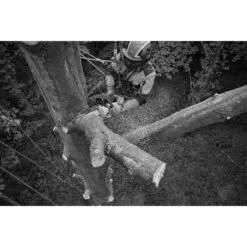 Tronçonneuse à Batterie Stihl MSA 220 T (machine Seule) Rollo E Light 35 Cm PS 3 3/8'' -Stihl AFD 152485