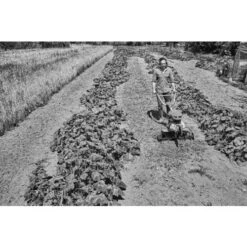 Motobineuse Thermique 4,4kW Stihl MH 600 - 6250-011-3915 -Stihl AFD 160916